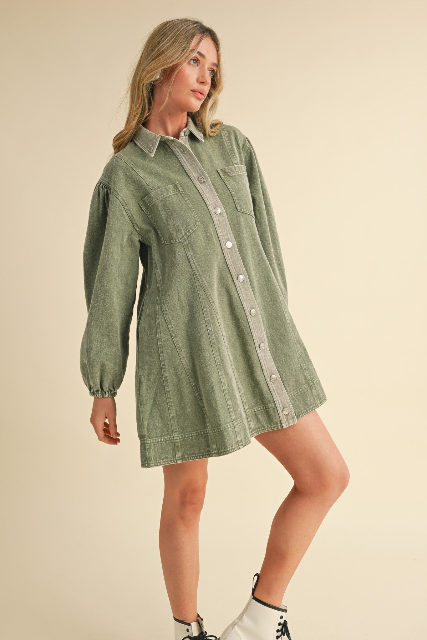 Ash Olive Denim Dress