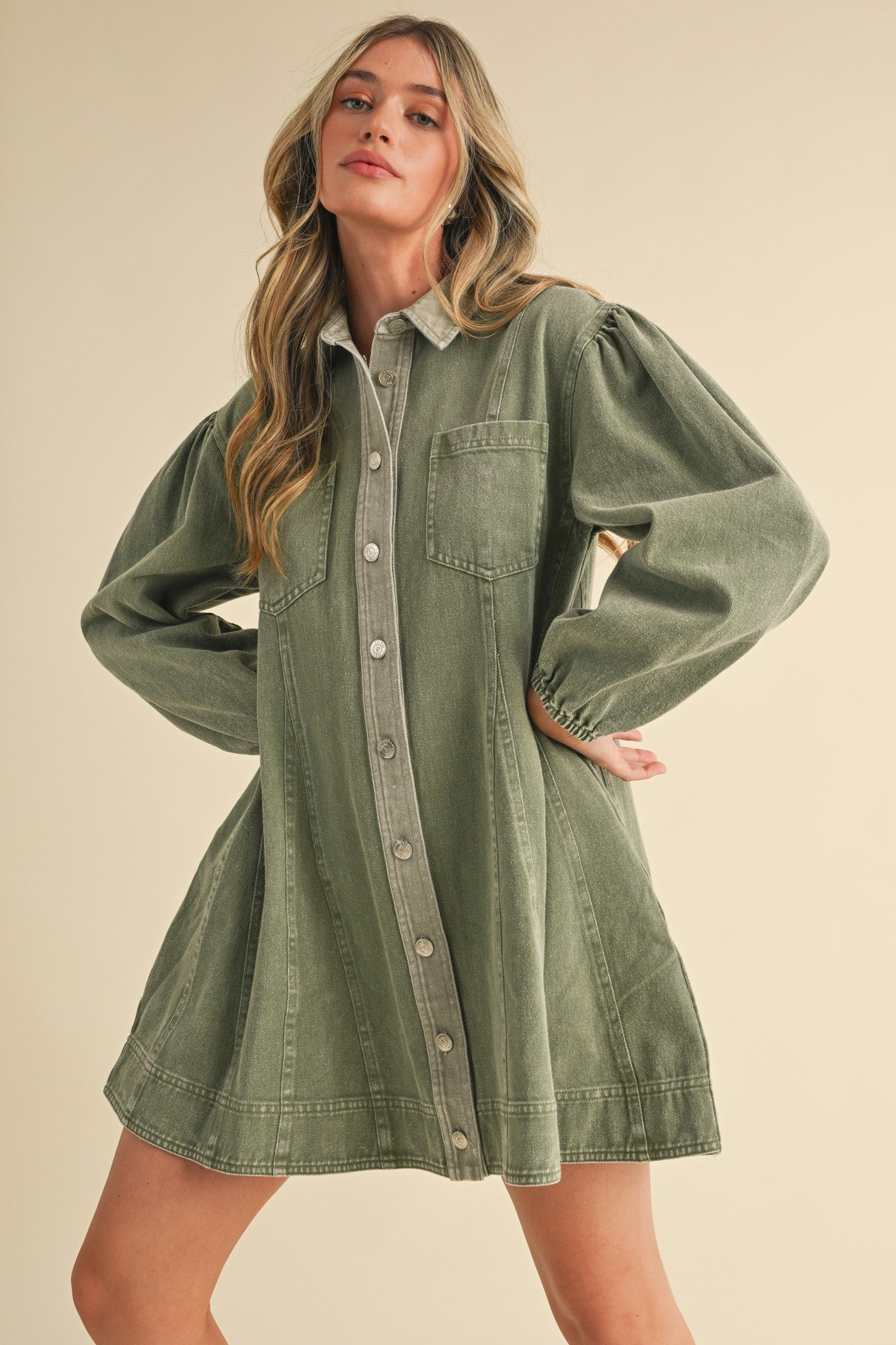 Ash Olive Denim Dress