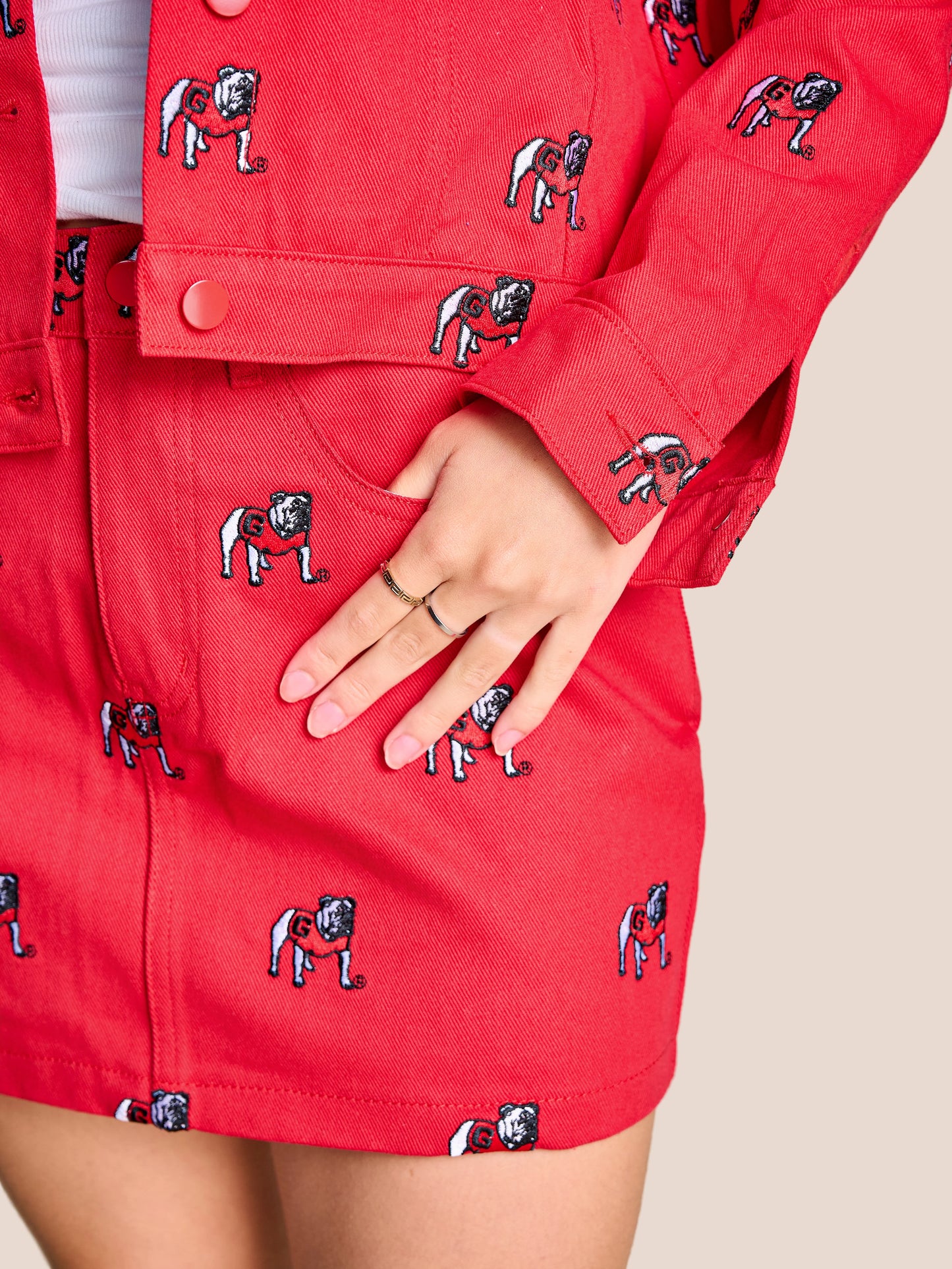 Tailgate logo skirt