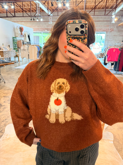 Pumpkin Doodle Sweater