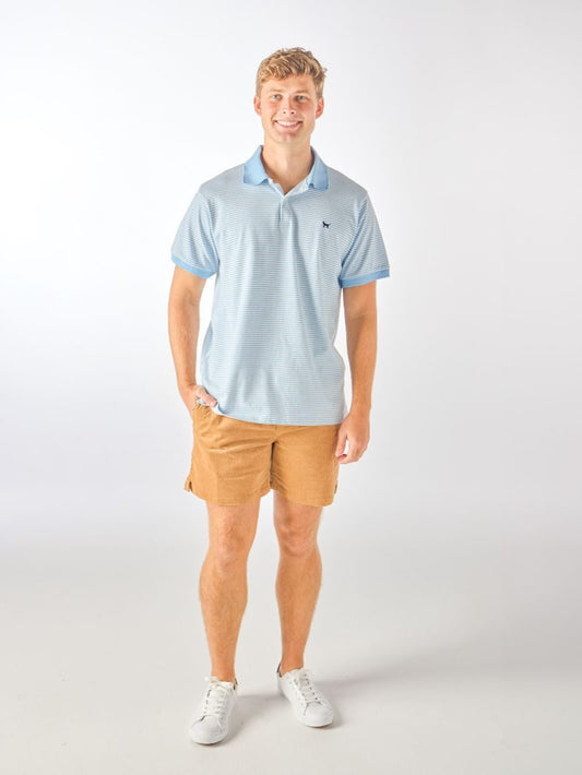 Blue Stripped Polo